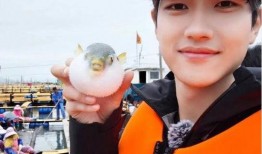 网友爆料金莎小男友视频,网友热议