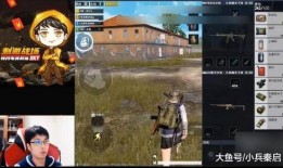 壮哥爆料吃鸡视频大全最新,吃鸡视频大全，精彩瞬间一网打尽！